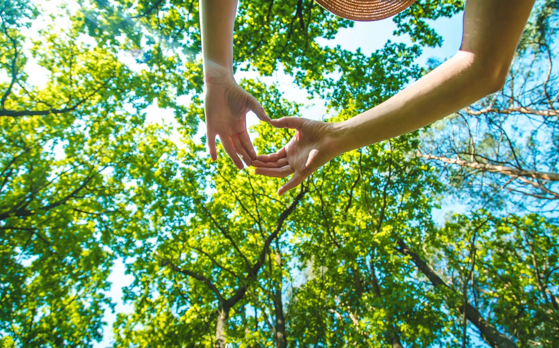 Mani che si toccano in mezzo agli alberi — codice etico