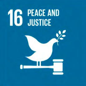 Sustainable Development Goal 16