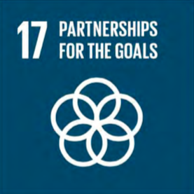 Sustainable Development Goal 17
