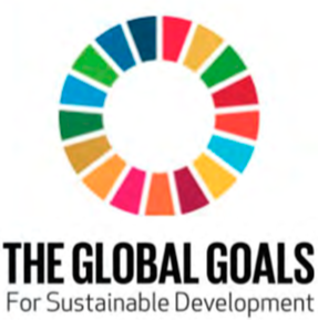 Sustainable Development Goal 18